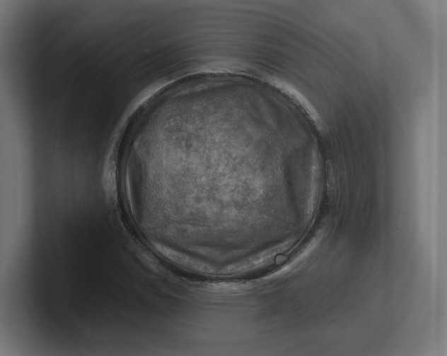 X0000102011114200808011137