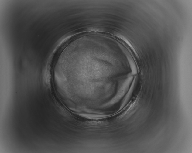 X0000102011115200808011137