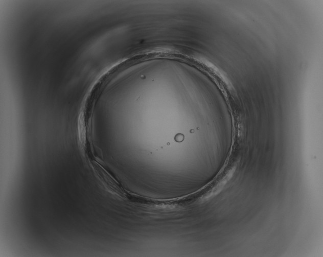 X0000102011117200808011137