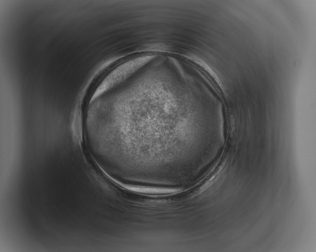 X0000102011123200808011137