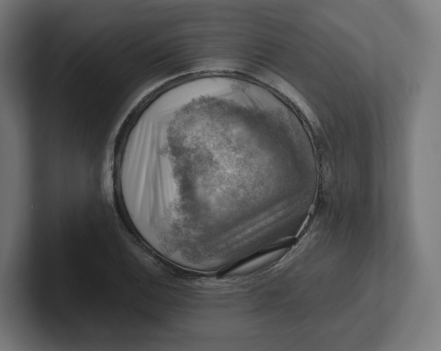 X0000102011124200808011137