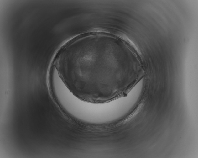 X0000102011125200808011137