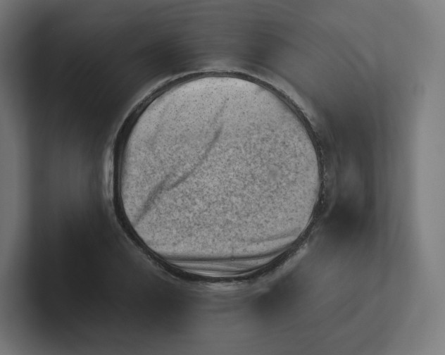 X0000102011126200808011137