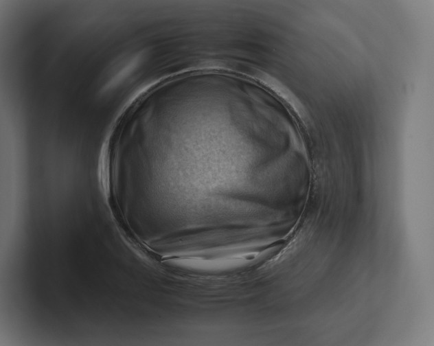 X0000102011127200808011137