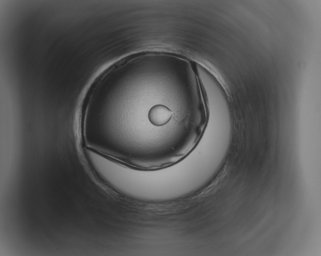 X0000102011128200808011137