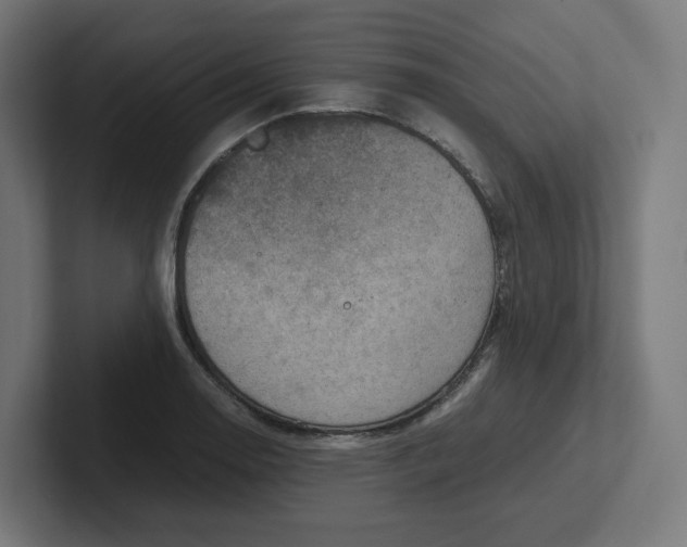 X0000102011130200808011137