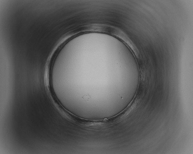 X0000102011131200808011137