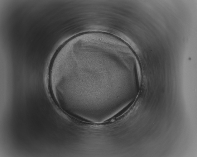 X0000102011136200808011137