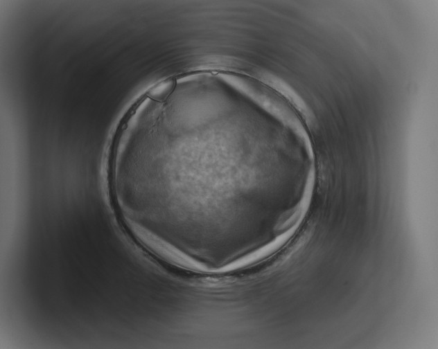 X0000102011138200808011137