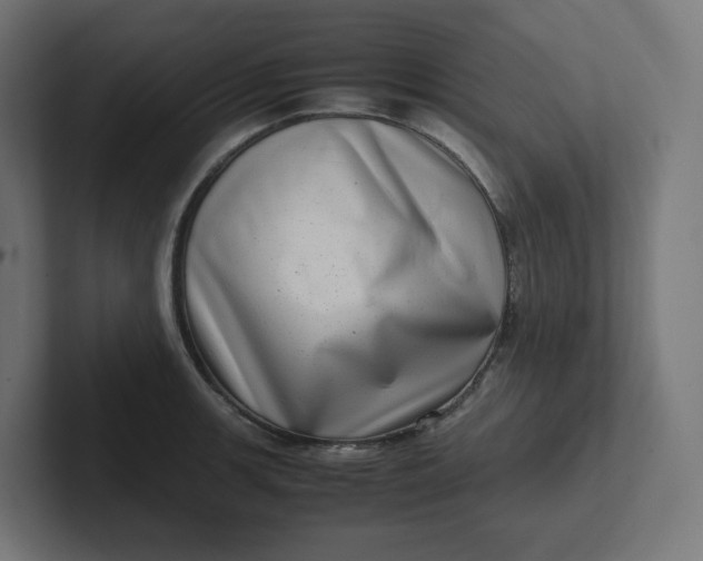 X0000102011139200808011137