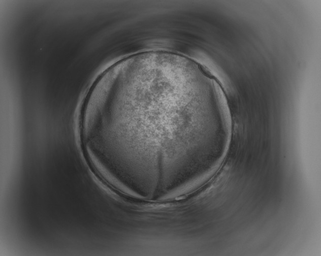 X0000102011143200808011137