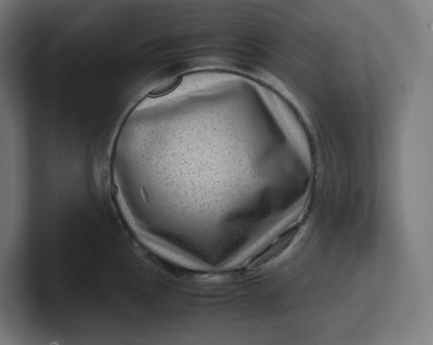 X0000102011145200808011137