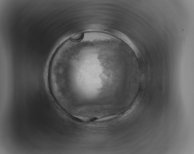 X0000102011146200808011137