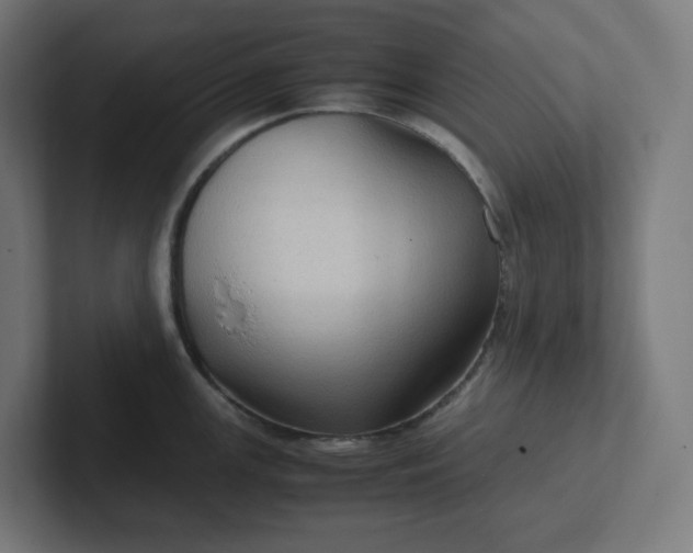 X0000102011147200808011137