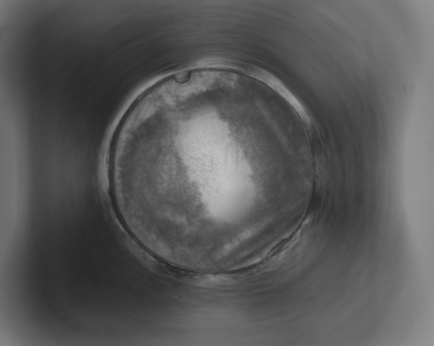 X0000102011148200808011137