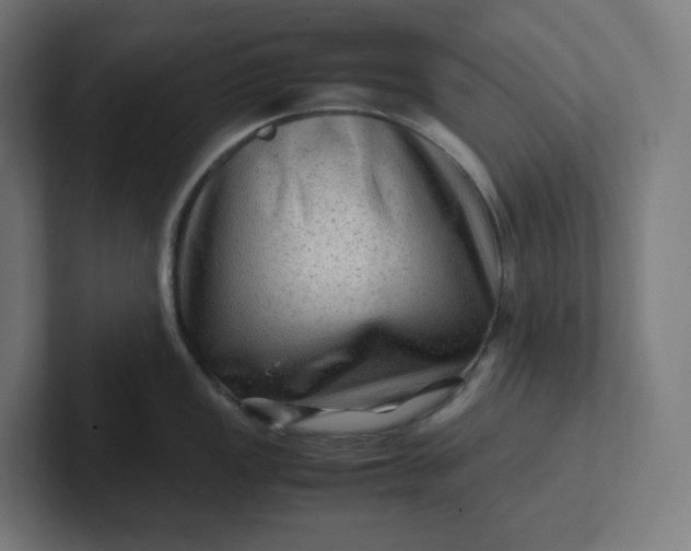 X0000102011149200808011137