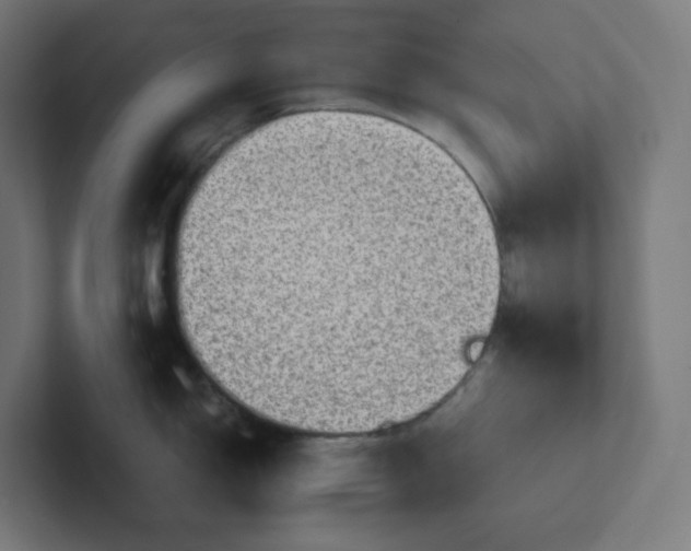 X0000102011150200808011137