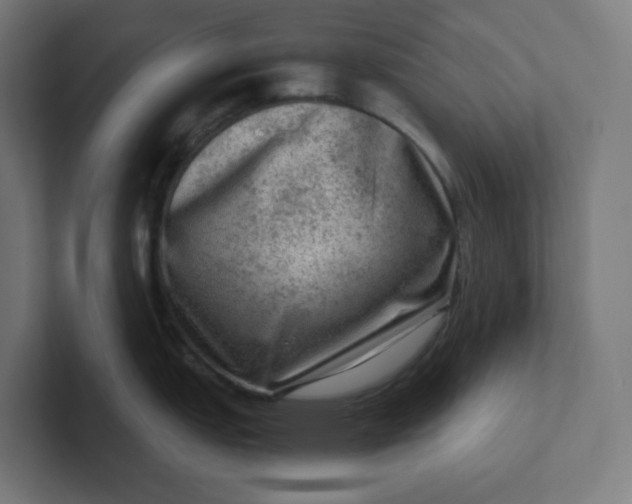 X0000102011151200808011137