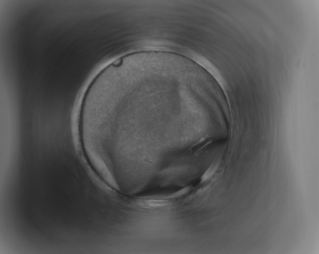 X0000102011152200808011137