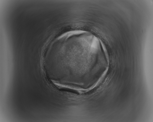 X0000102011153200808011136