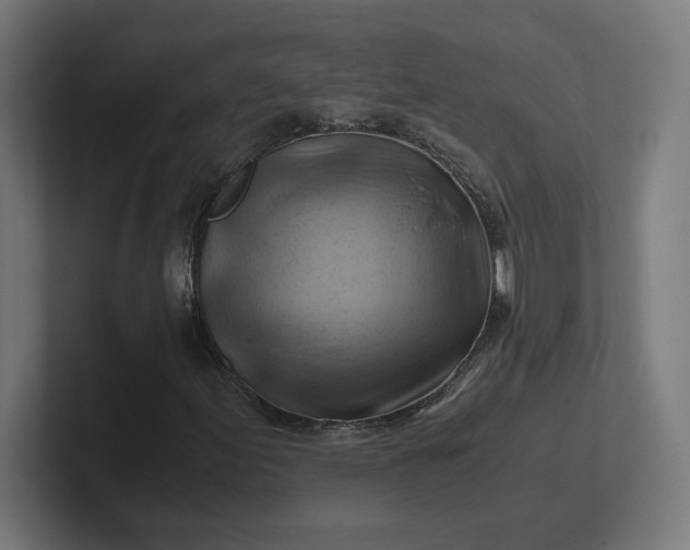 X0000102011155200808011136