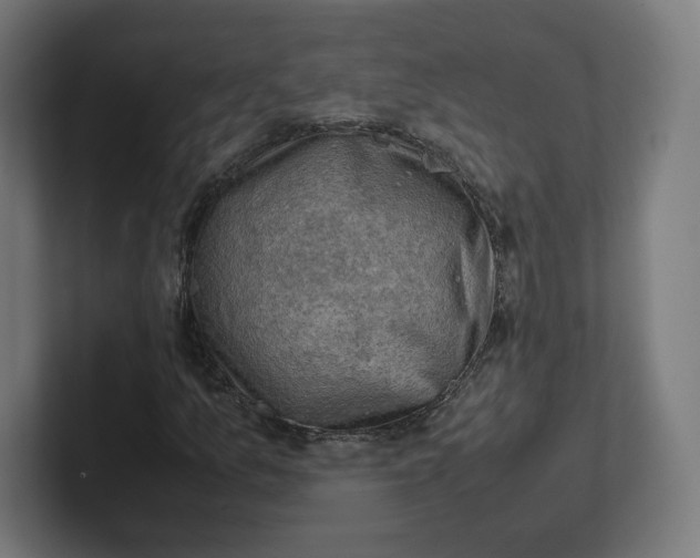 X0000102011157200808011136