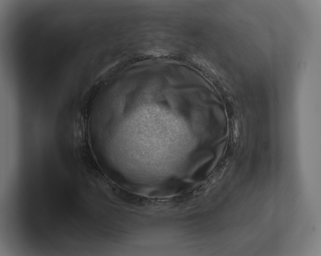 X0000102011158200808011136