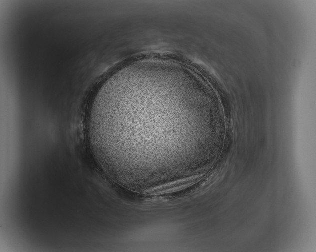 X0000102011159200808011136