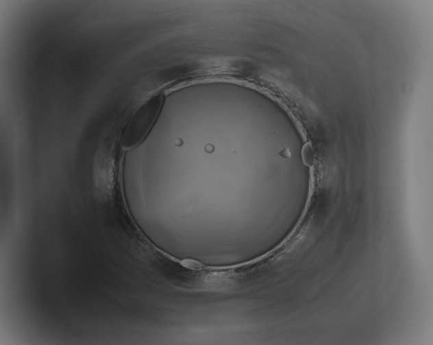 X0000102011161200808011136