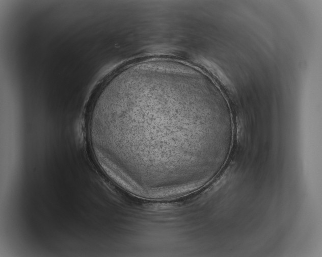 X0000102011164200808011136