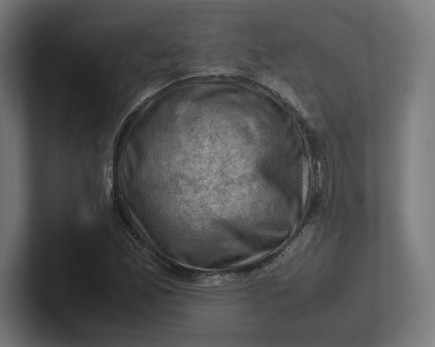 X0000102011165200808011136