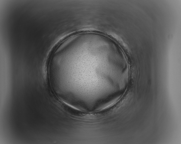 X0000102011167200808011136