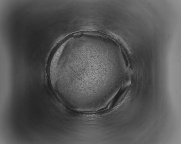 X0000102011168200808011136