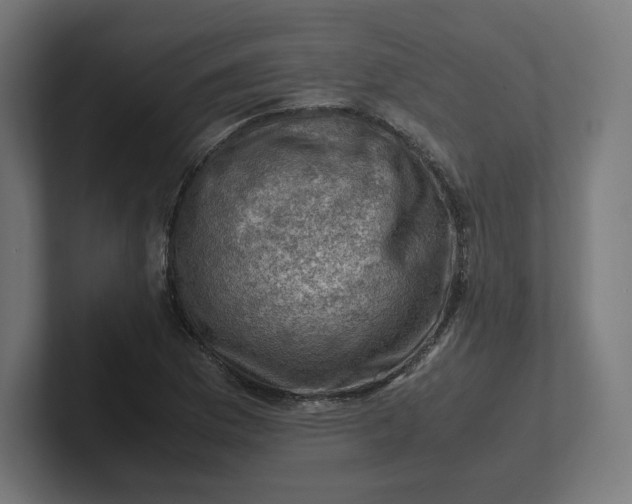 X0000102011169200808011136