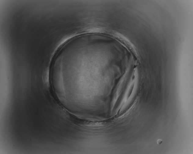 X0000102011174200808011136