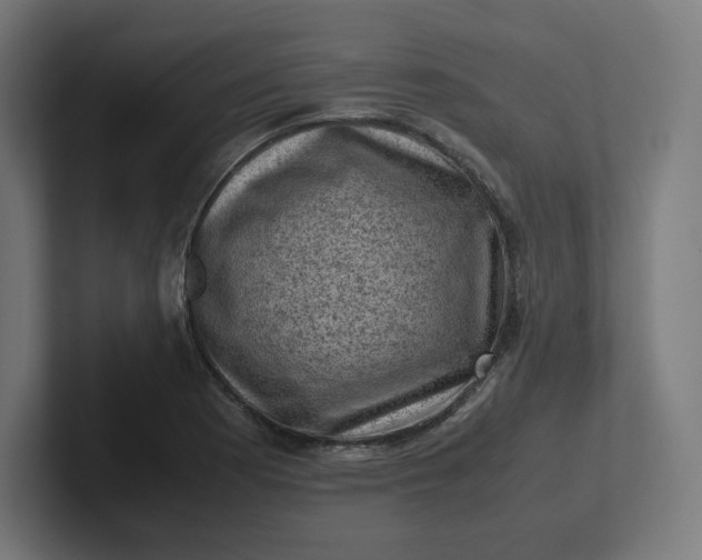 X0000102011177200808011136