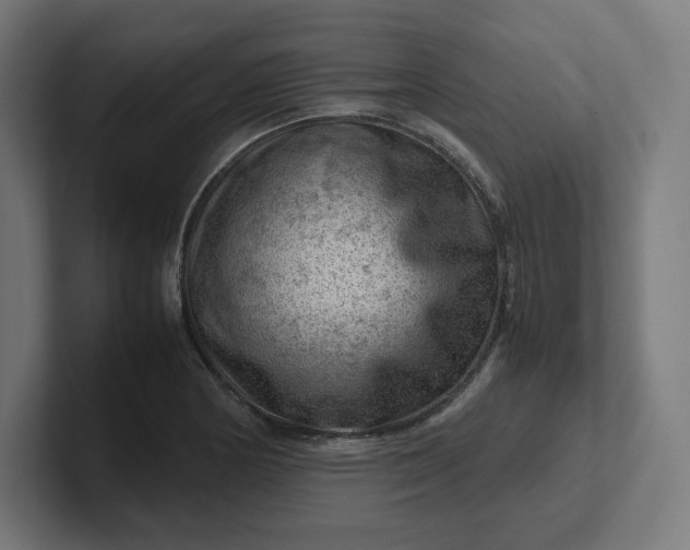 X0000102011178200808011136