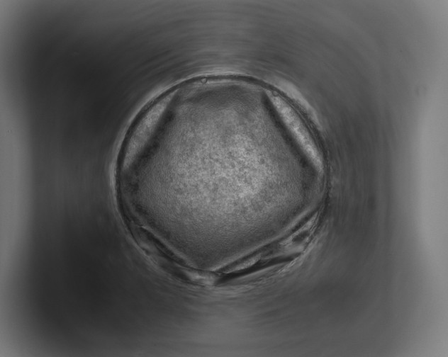 X0000102011181200808011136