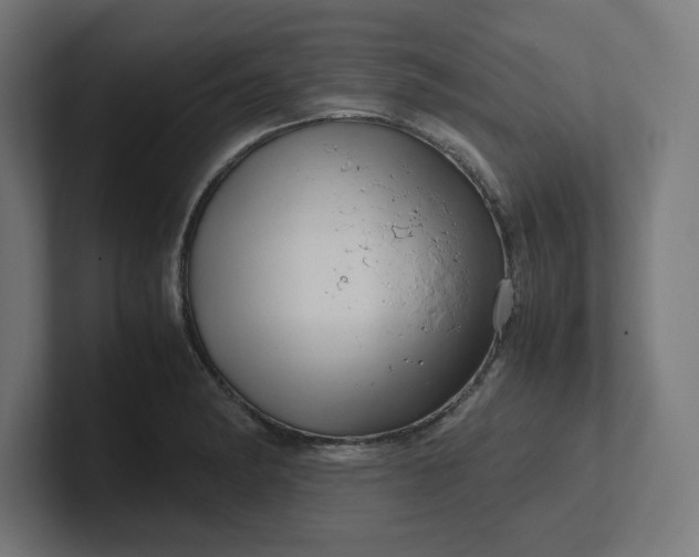 X0000102011182200808011136