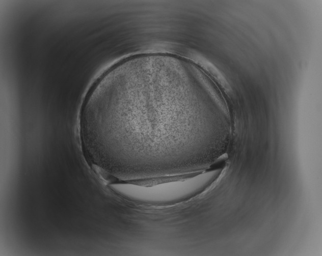 X0000102011184200808011136