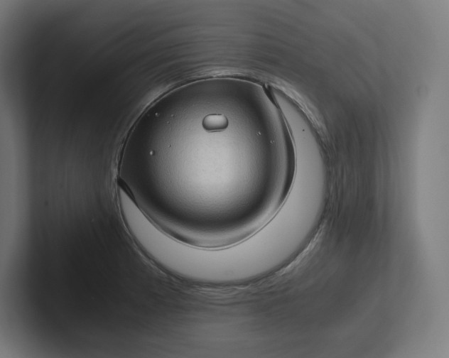 X0000102011185200808011136