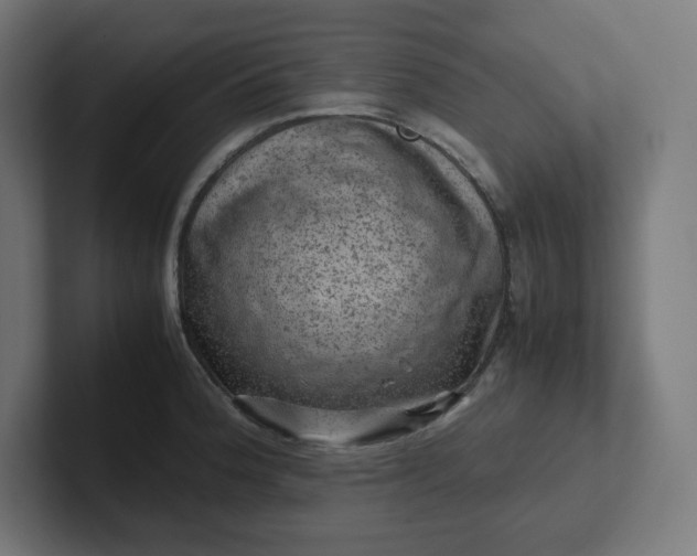 X0000102011188200808011136