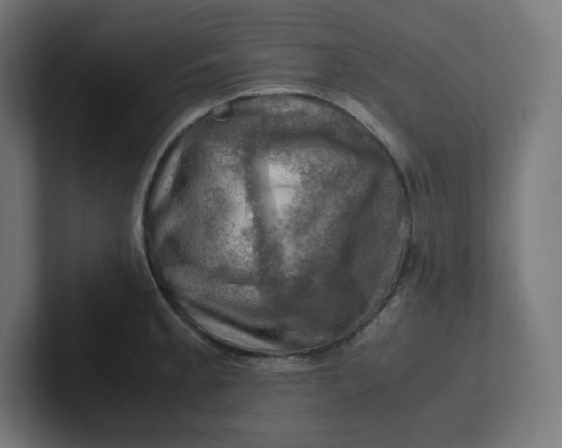 X0000102011189200808011136