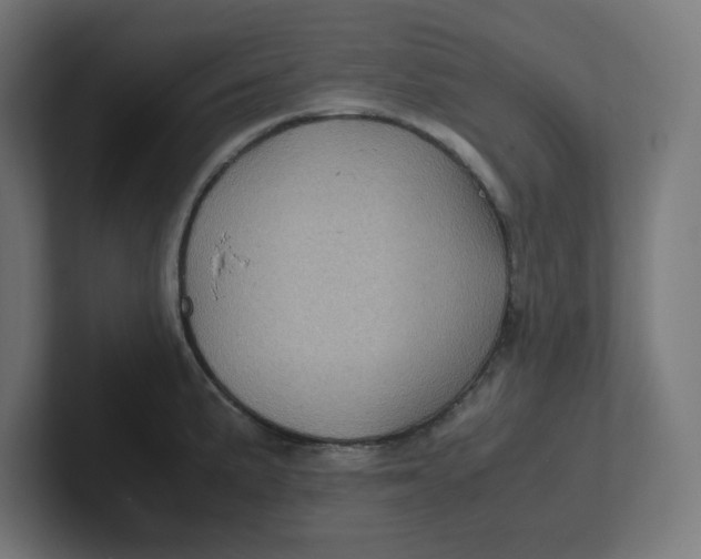 X0000102011191200808011136