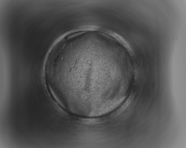 X0000102011192200808011136