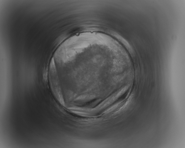 X0000102011193200808011136