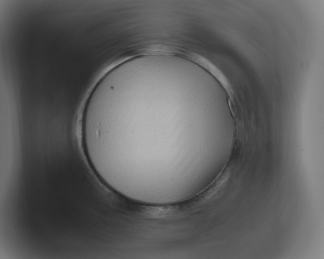 X0000102011195200808011136