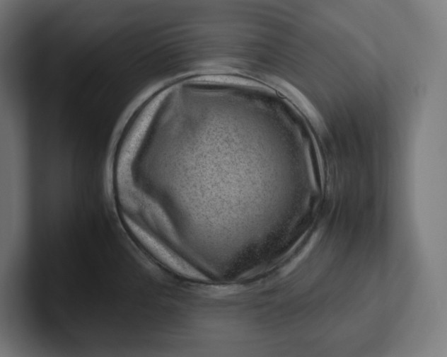 X0000102011196200808011136