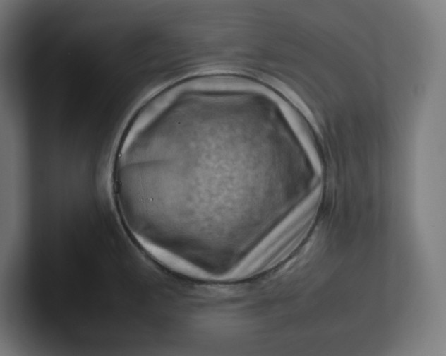 X0000102011197200808011136