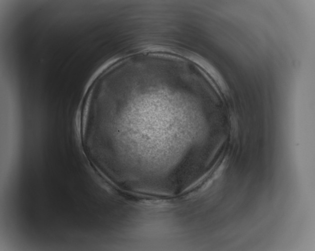 X0000102011198200808011136